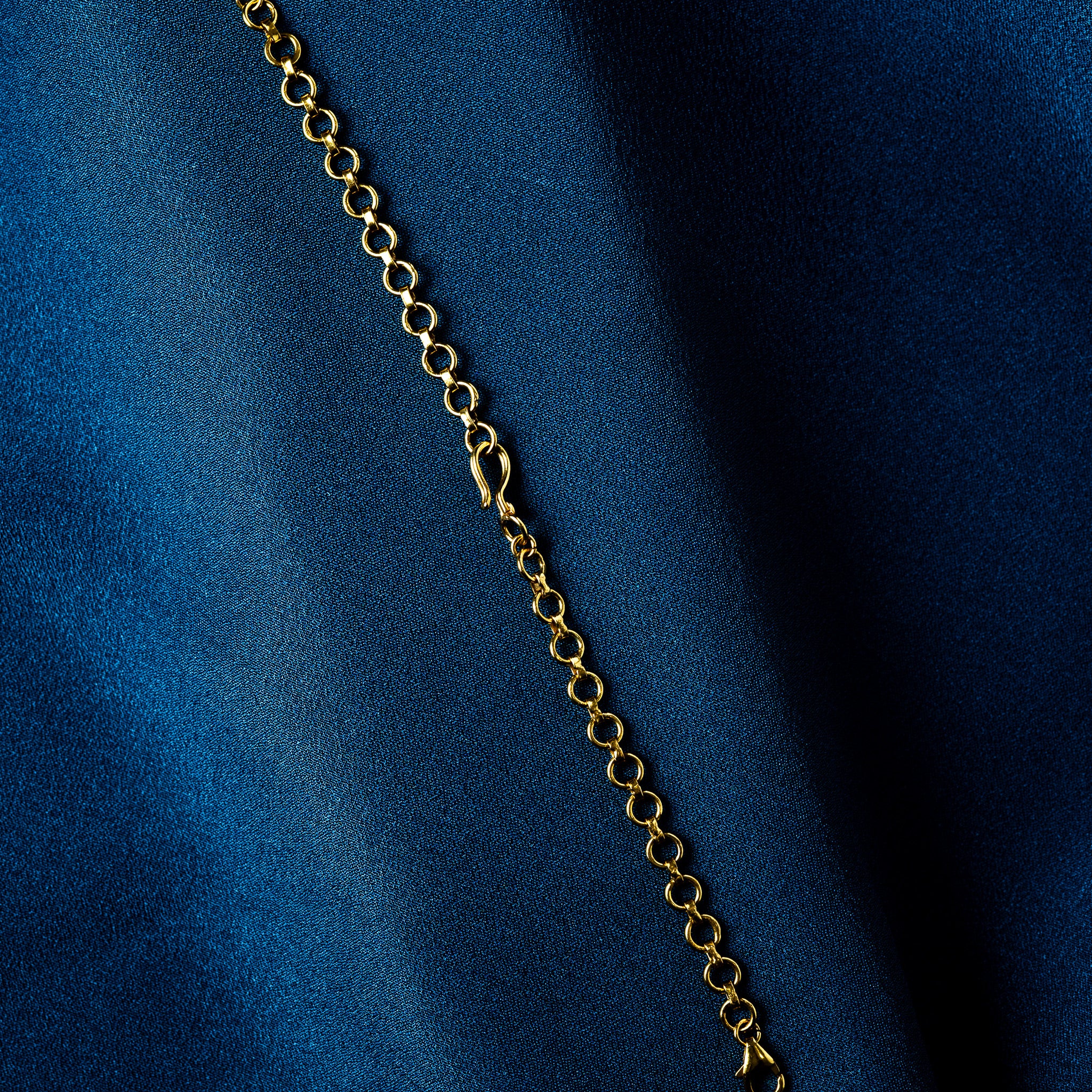 S-hook joining the two halves of a gold round link back chain, close crop